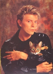 I'm also kinda jealous of Mr. Bowie. That's a snuggly kitty.